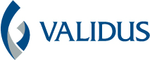 Validus renews $240 million Talbot-led binding authority for political risk