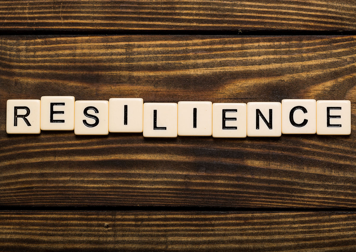 Resilience image