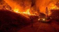 California wildfires