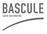 Bascule Underwriting launches multi-territory MGA