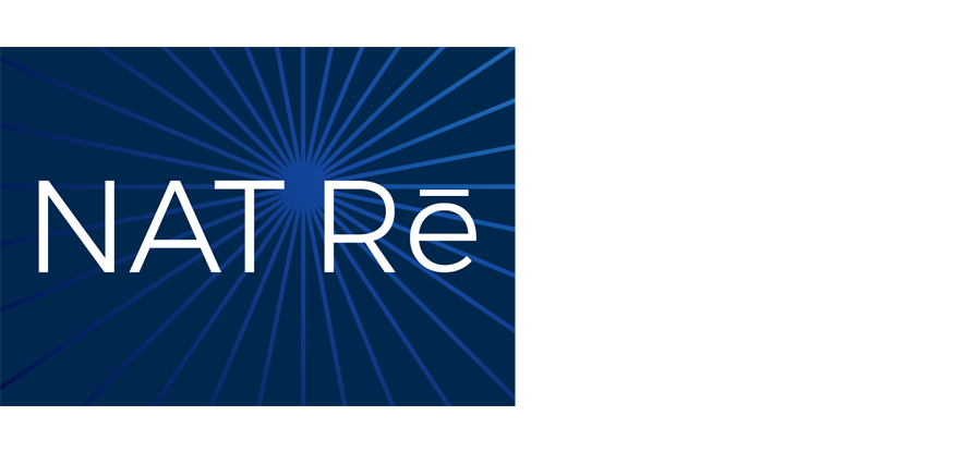 Nat Re logo