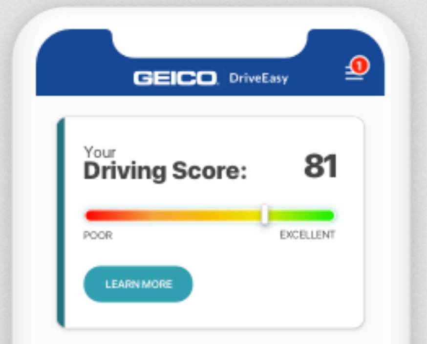 geico-telematics-driveeasy