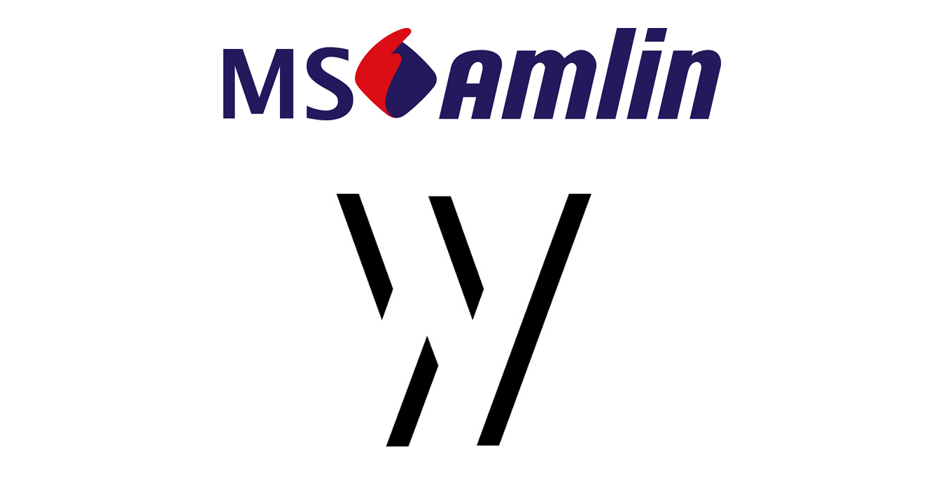 ms amlin whitespace 