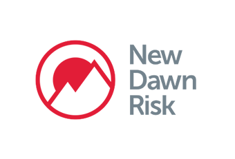 New Dawn Risk logo