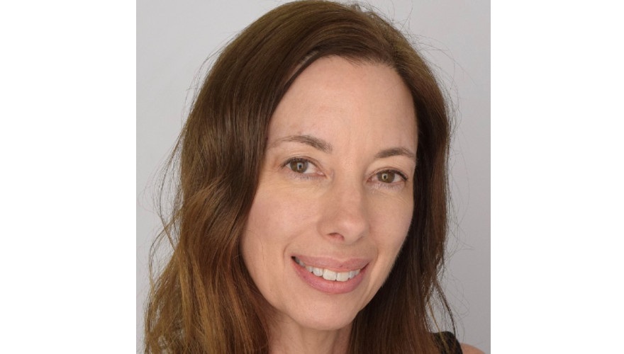 Shift in risk curve inevitable, mitigation vital: Mowery, Guy Carpenter