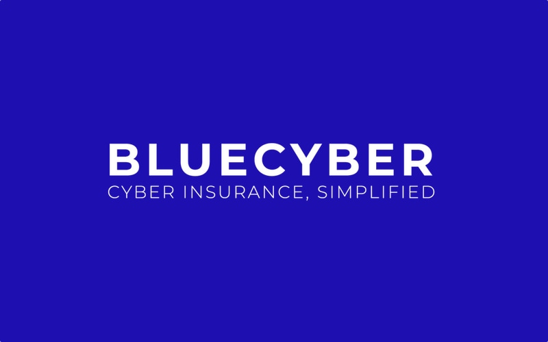 bluecyber-logo