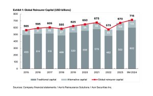 reinsurer-capital-2024