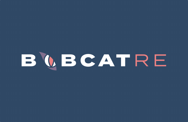 US-based MGA Bobcat Re launches to deliver property treaty underwriting and portfolio expertise via London brokers