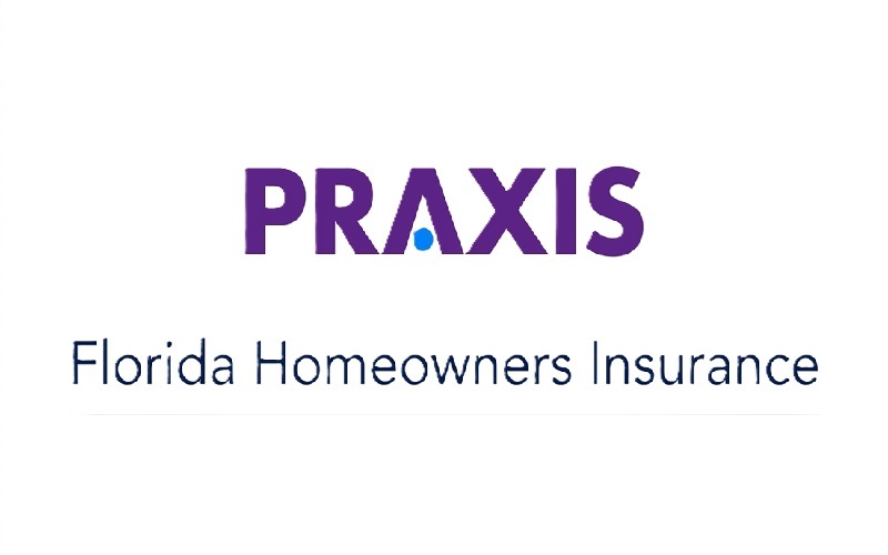 Praxis logo