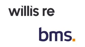willisre-bmsre-image